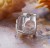 Charms do Pandora Owad Ważka charmsy oryginalny SREBRO próby s925