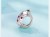 Charms do Pandora Biedronka srebrny charms SREBRO próba s925