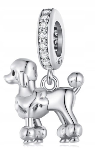 Charms do Pandora Pudel pudelek pies  pupil  SREBRO próba  s925