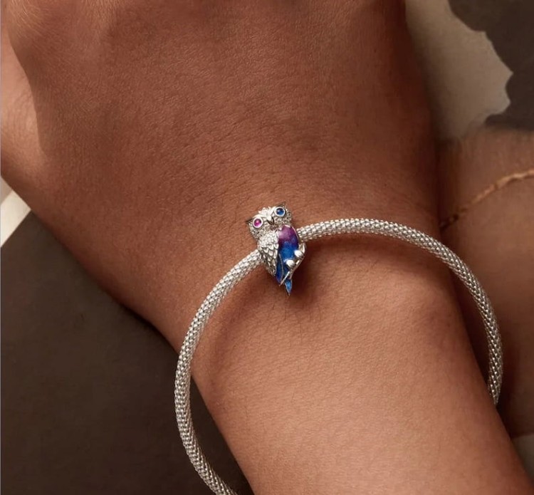Charms do Pandora Sowa Błyszcząca mądrość nauka wiedza SREBRO próba s925
