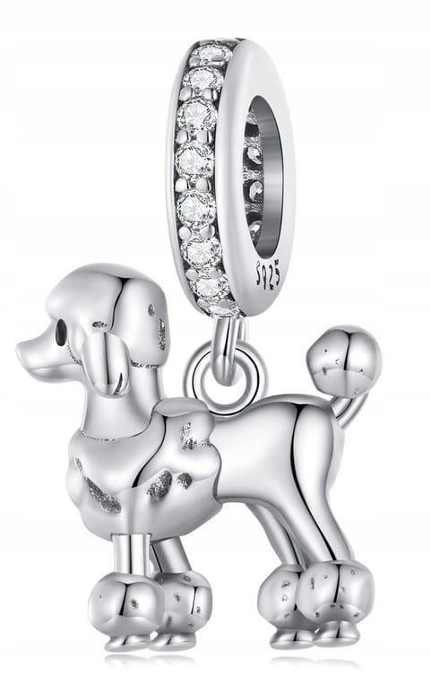 Charms do Pandora Pudel pudelek pies  pupil  SREBRO próba  s925